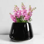 Black Glossy Ceramic pot bowl shape for indoor plants