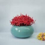 Small Bowl Shape Ceramic Pot for Indoor Plants