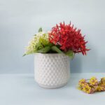 Cylindrical ceramic Pot for indoor plants